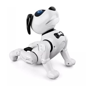 اسباب بازی ربات سگ کنترلی مدل JJRC R19 Remote Control Robot Dog Toy _اسباب بازی ربات